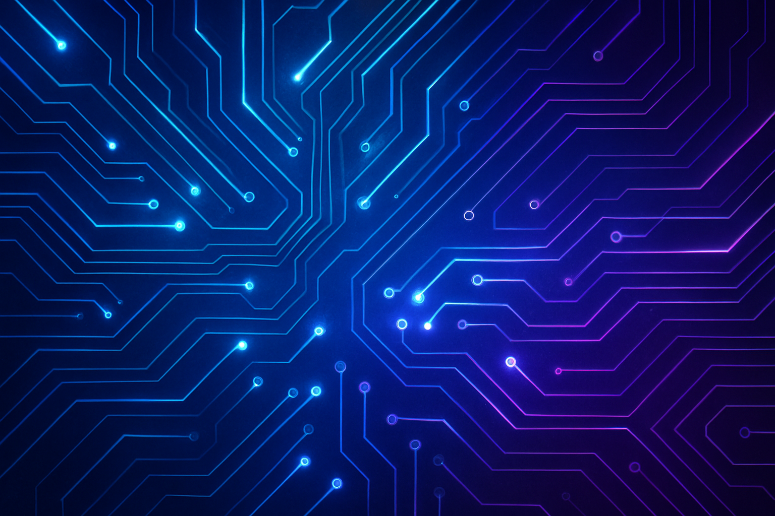 Professional Web Development